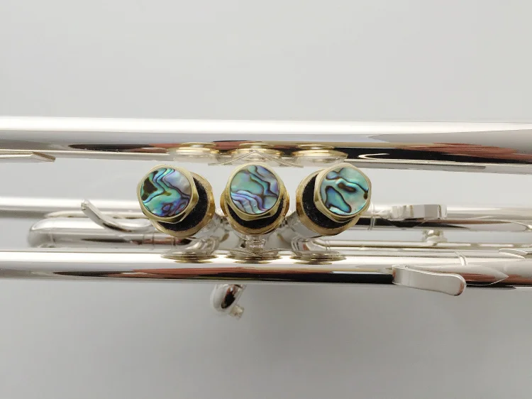 new Trumpet Model 43 Silver Plated LT180S-43 Trumpete Give me two nozzles