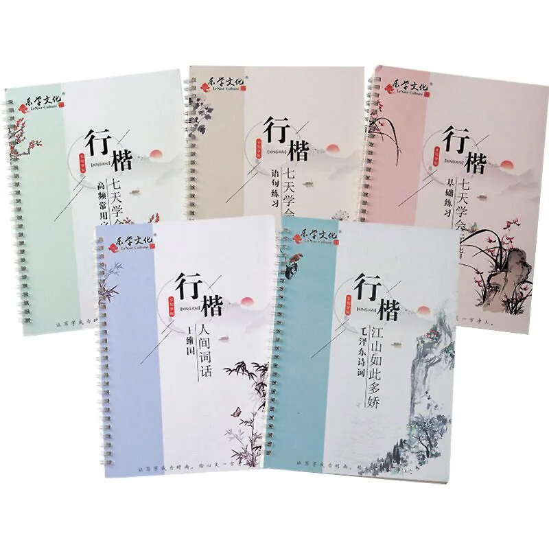 2021 5Pcs/Sets 3D Chinese Characters Reusable Groove Calligraphy Copybook Erasable Pen Learn hanzi Adults Art writing Books