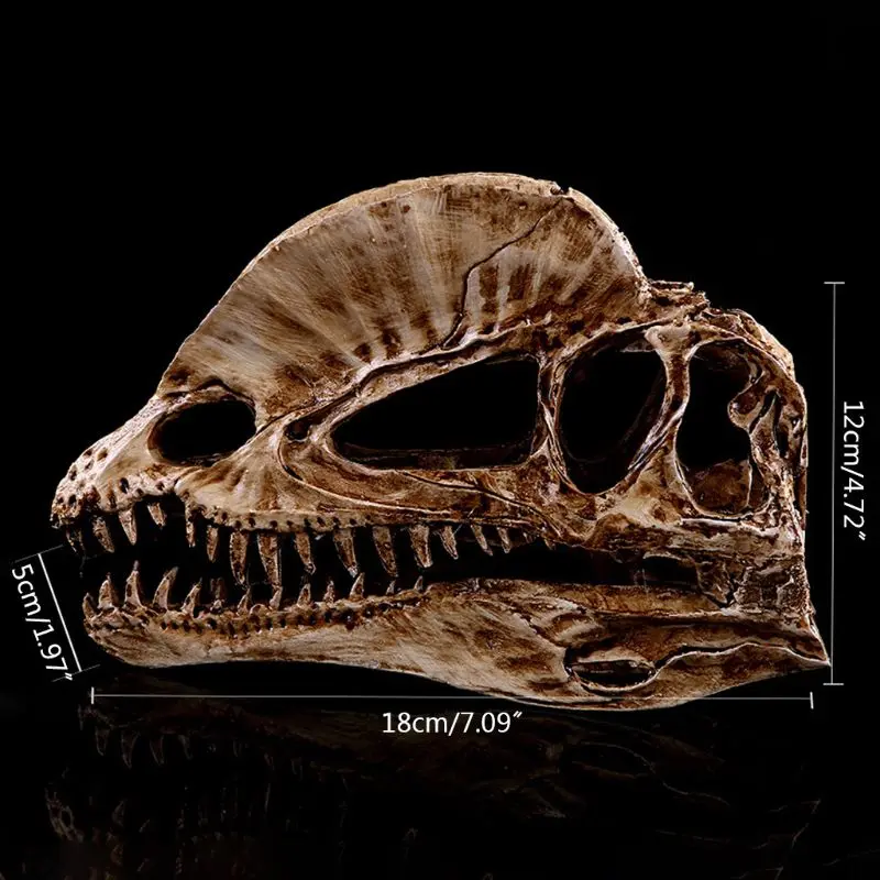 Дилофозавр череп динозавра изделия из смолы окаменелый обучение скелету модель Хэллоуин украшение дома и офиса скелет