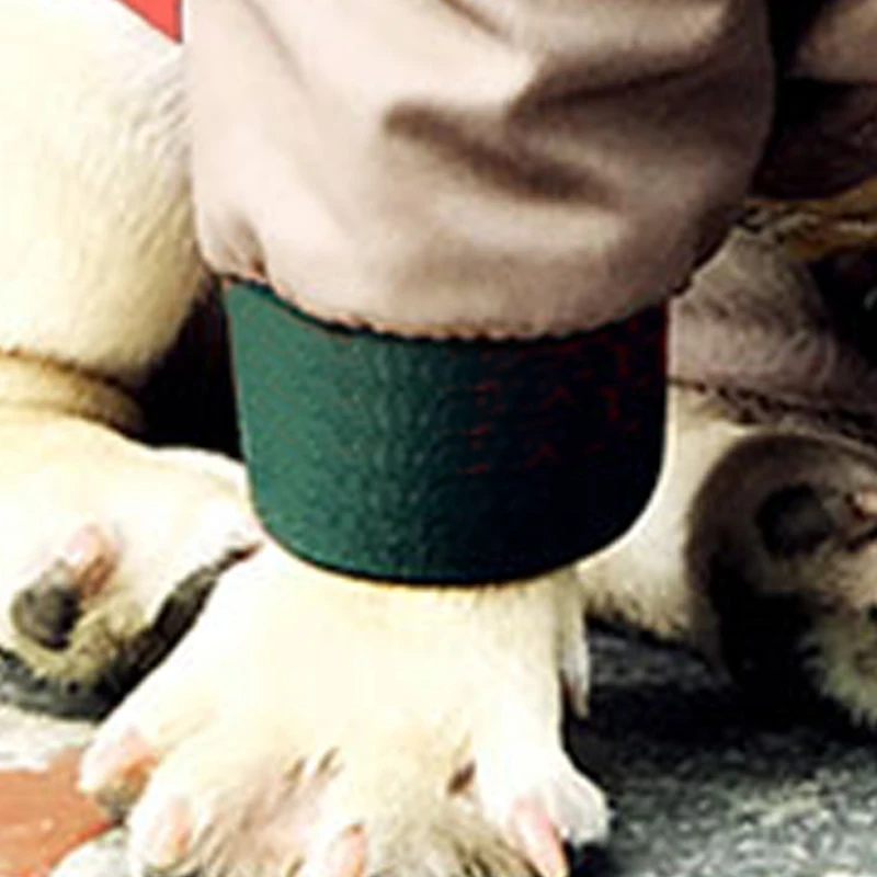 Comprar Otoño Invierno perro mascota abrigo para perros pequeños chaqueta para Bulldog francés serpiente impresión traje para PUG PC1110