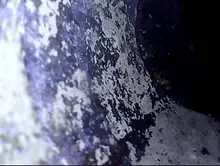 Cámara endoscopio Industrial de 3,9mm, 1080P, HD, 4,3 , pantalla IPS, drenaje de tuberías, cámara de inspección de conductos, IP67, cámara de serpiente con 32GB