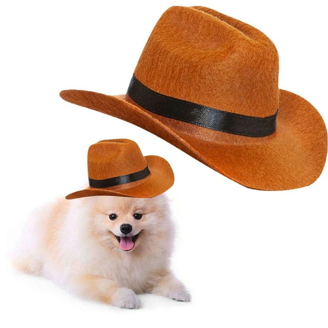 Cowboy Hats For Dogs