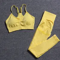 PHIKESEYA Seamless Yoga Sports Sets Women Fitness Exercise Suits High Waist Booty Leggings Sports Bra Running Athletic Clothing 1