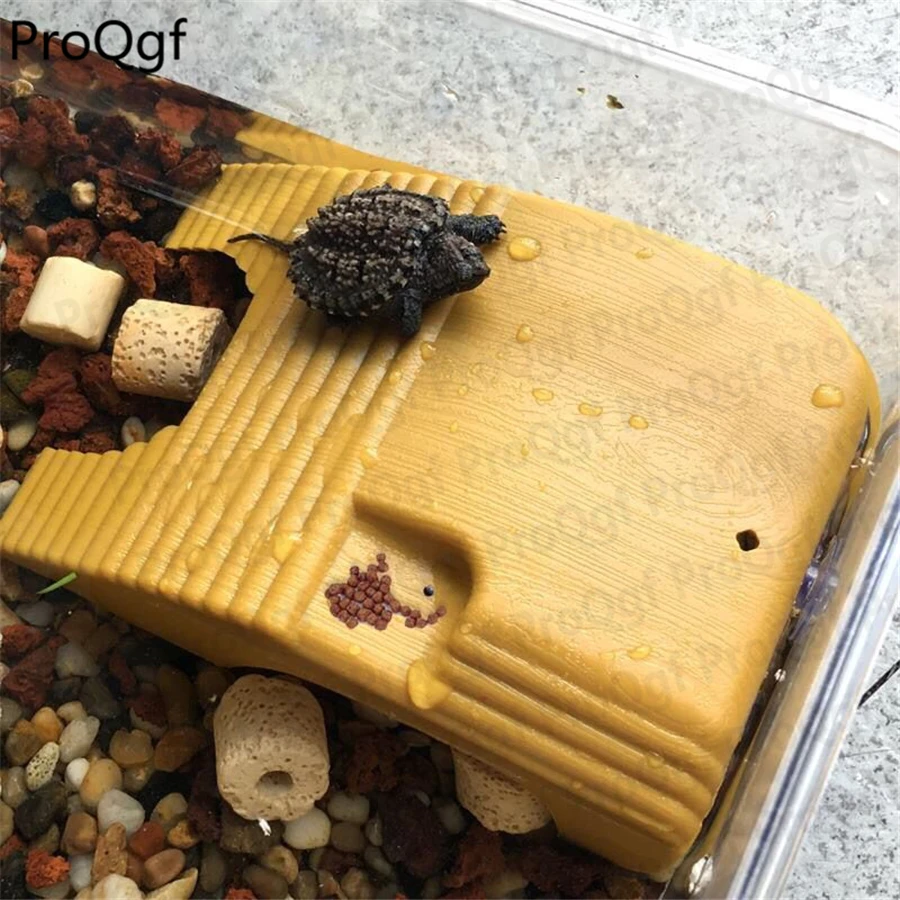 

ProQgf 1Pcs A Set Lizard Snake Turtle Home