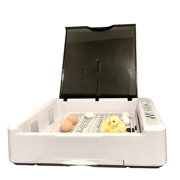 

36 Egg Incubators Automatic Egg Incubator Poultry Hatcher Digital LED Displays Temperature Control Automatic Turning with Light