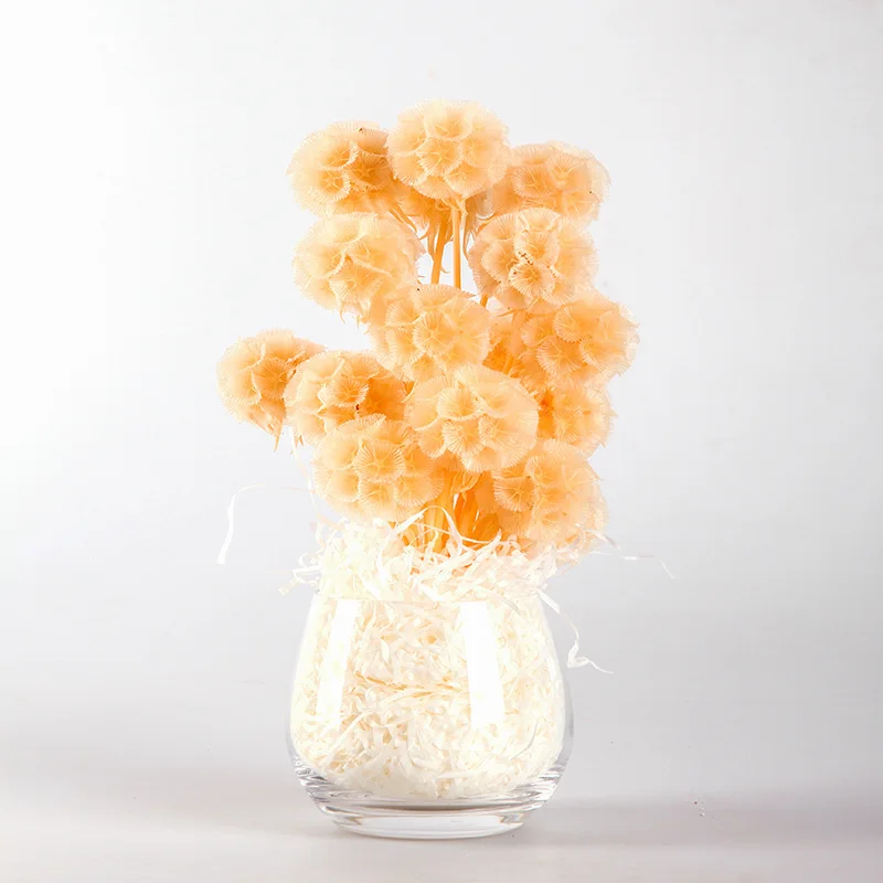 Eternal Wholesale Home Decoration Flowers DIY Dried Pine Wormed Fruit Direct Festival Wedding Bouquet | Дом и сад