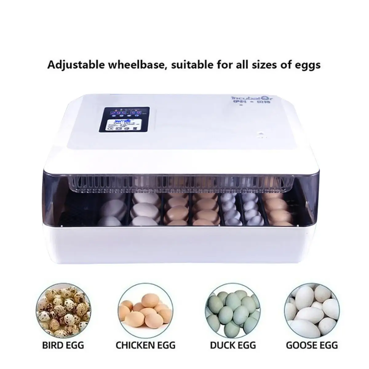 Auto turn egg incubator scottasrpos
