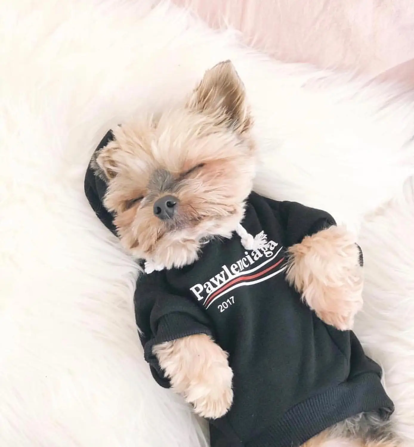 Роскошная Одежда для собак французская футболка с бульдогом Роскошная Спортивная одежда для собак Толстовка с капюшоном Домашние животные одежда камуфляжная одежда Прямая поставка - Цвет: Черный