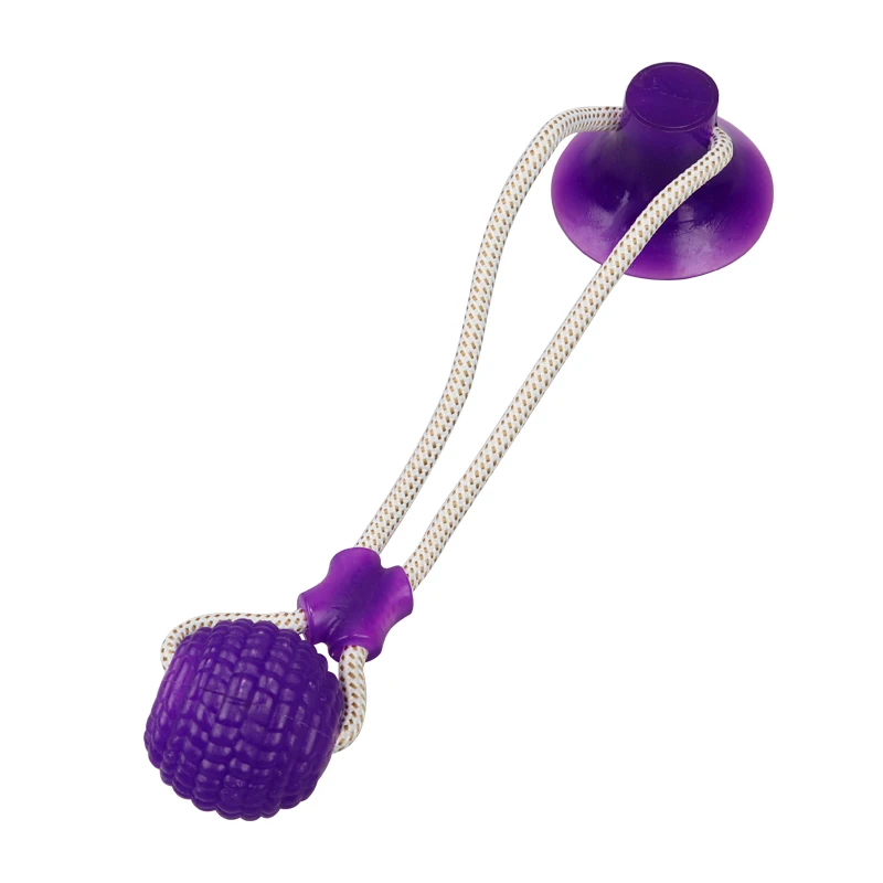 Purple Pet кошки собаки Интерактивная присоска толчок TPR мяч игрушки эластичные веревки для чистки зубов Жевательная игра IQ лечения щенков игрушки - Цвет: Purple