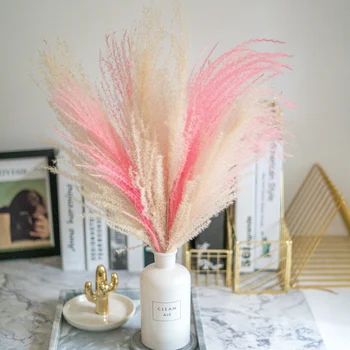 

Pink White Color Natural Pampas Grass Decor Flower Beautiful Wedding Flowers Bunch Christmas Home Decor Phragmites Tall