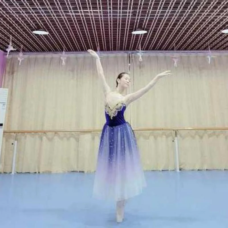 プロロングバレエチュチュドレス勾配ブルーバレリーナ大人子供バレエ衣装パーティーダンス女性のドレス Ballet Aliexpress