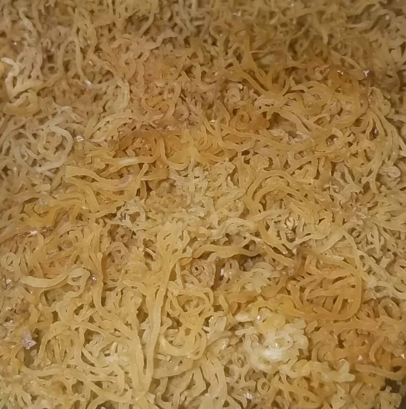 irish moss natural jamaican sea moss raw wild crafted 450g