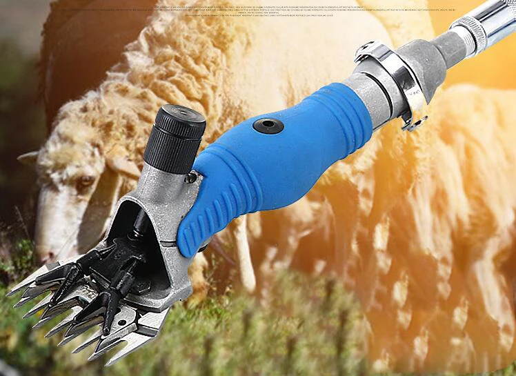 QQ截图20190828164715