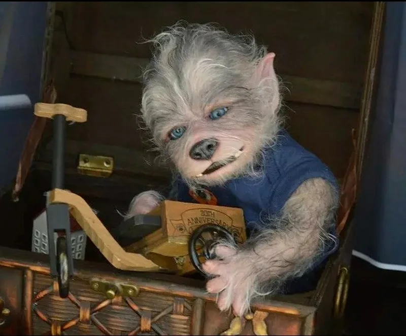 Werewolf Reborn Kit Werewolf Doll Kit Doll Kits Reborn Reborn