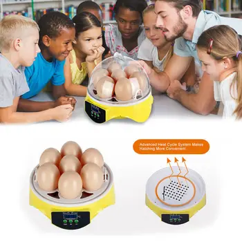 

Mini Automatic Incubators Digital 7 Egg Poultry Hatcher Birds Temperature Control Expriment GQ