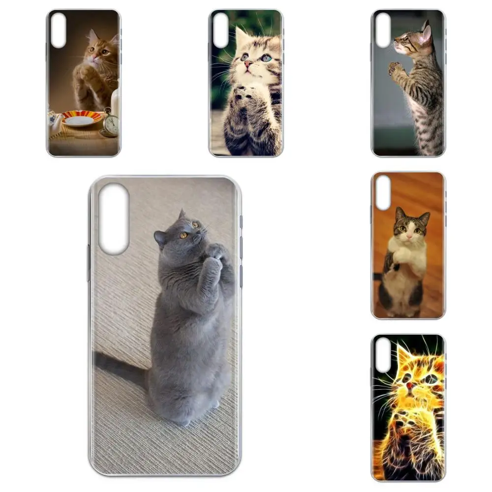 For Samsung Galaxy Note 5 8 9 S3 S4 S5 S6 S7 S8 S9 S10 5G mini Edge Plus Lite Soft Popular Hot Praying Kittens Cats Cute Plastic | Мобильные