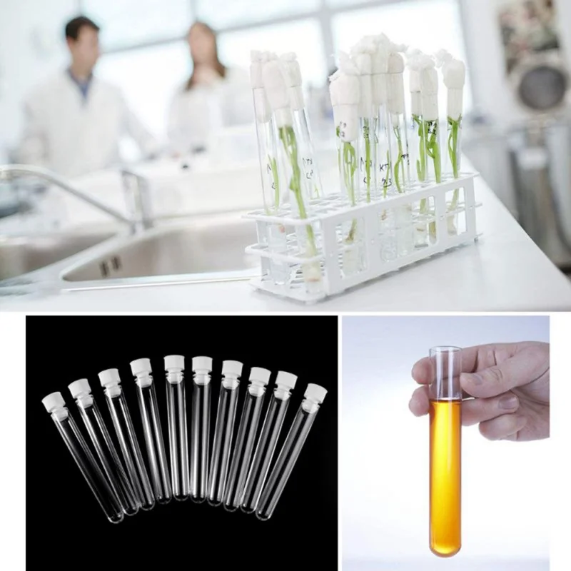 

New School Lab Supplies Wedding Favours Transparent Laboratory Clear Plastic Test Tube Vials Push Caps 25PCS/50PCS