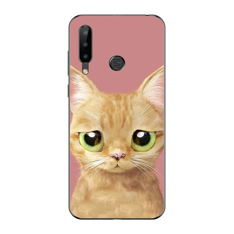 A079 Модный чехол для телефона Doogee N20 6," Краска Для Doogee Y9 Plus принт Для Doogee Y9Plus Чехлы Для Doogee N20 резиновый чехол для телефона - Цвет: A079