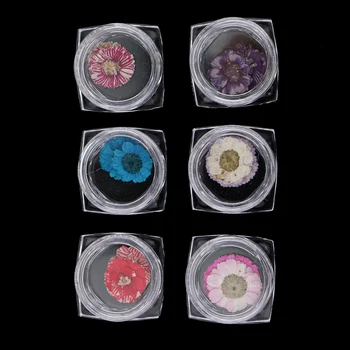 

6 Pots Preserved Real Dried Flowers Decoration Nail Art Sticker DIY Tips