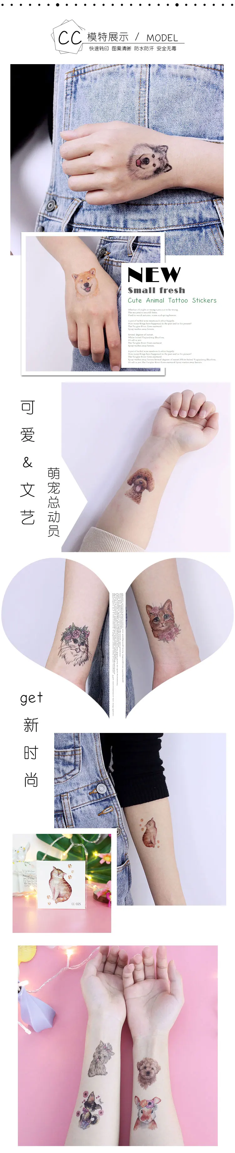 CC-001~040萌宠总动员详情_04