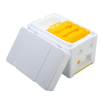 

Bee Hive Beekeeping King Box Pollination Box Foam Frames Beekeeping Tool Kit for Farm Garden Beeworking Pollination Oc16