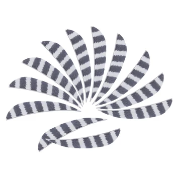 

12 Pieces Arrow Vanes 4 Inch Plastic Feather Fletching DIY Archery Arrow - 6 Colors for Choose