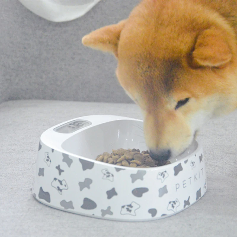 PETKIT оригинальная кормушка для домашних питомцев автоматическая фотокормушка