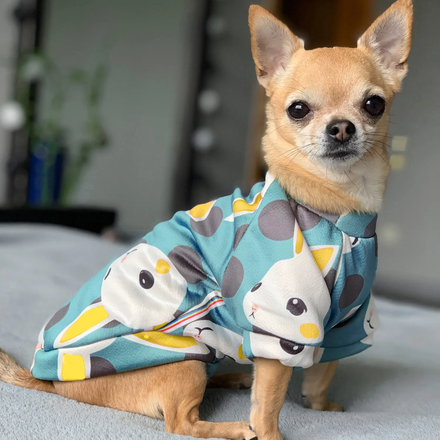 Roupa para cachorro com estampa de desenho, fantasia de animais de ...