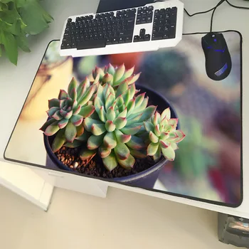 

XGZ Environmentally Friendly Plant Large Size Mouse Pad Lock Green Meaty Potted Laptop PC Table Mat Rubber Universal Non-slip