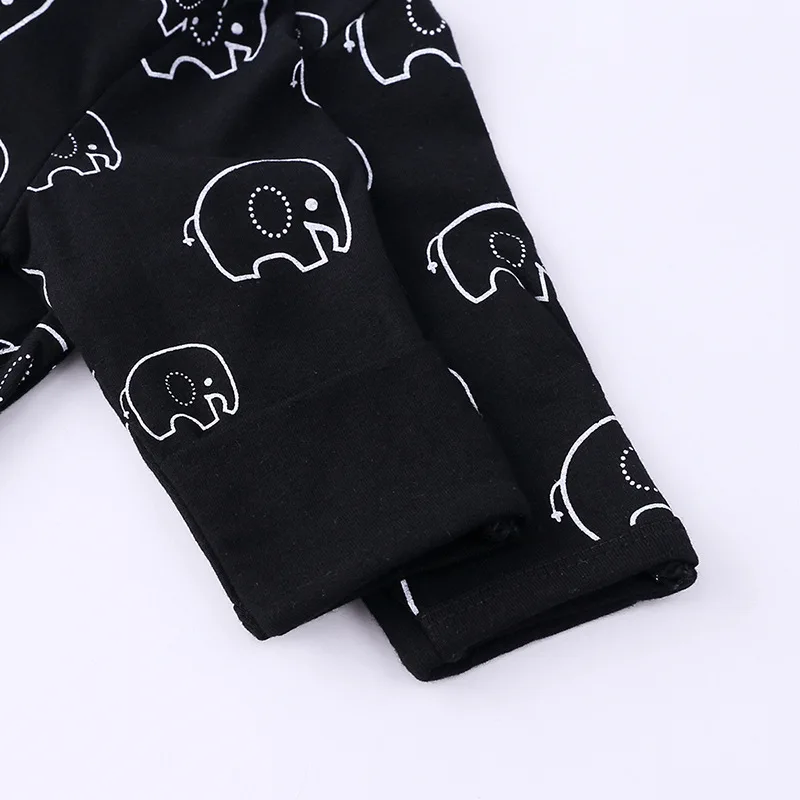 14554349151_1237798930