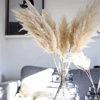 

80cm 5/10pcs Wedding Special Pampas Grass Decor Large Size Fluffy Feather Wedding Flowers Plants Natural White Dried Flowers