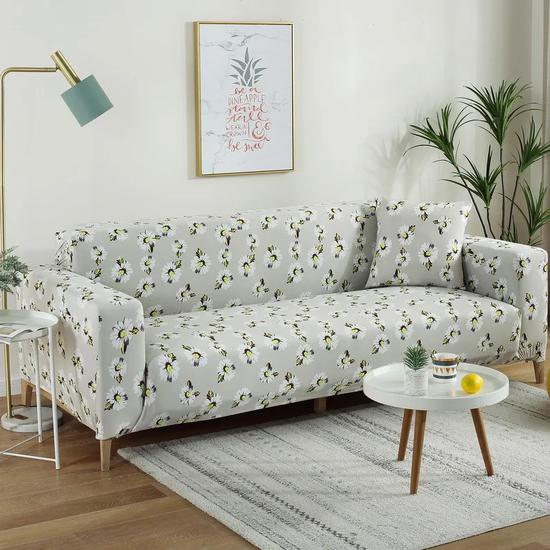 11168555386_666829605