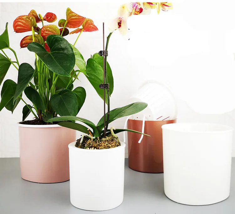 O1CN01hfliHq1UOhsu0ymyE_!!26182508