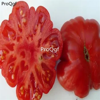 

Ngryise 6000Pcs A Set Costoluto Genovese tomato
