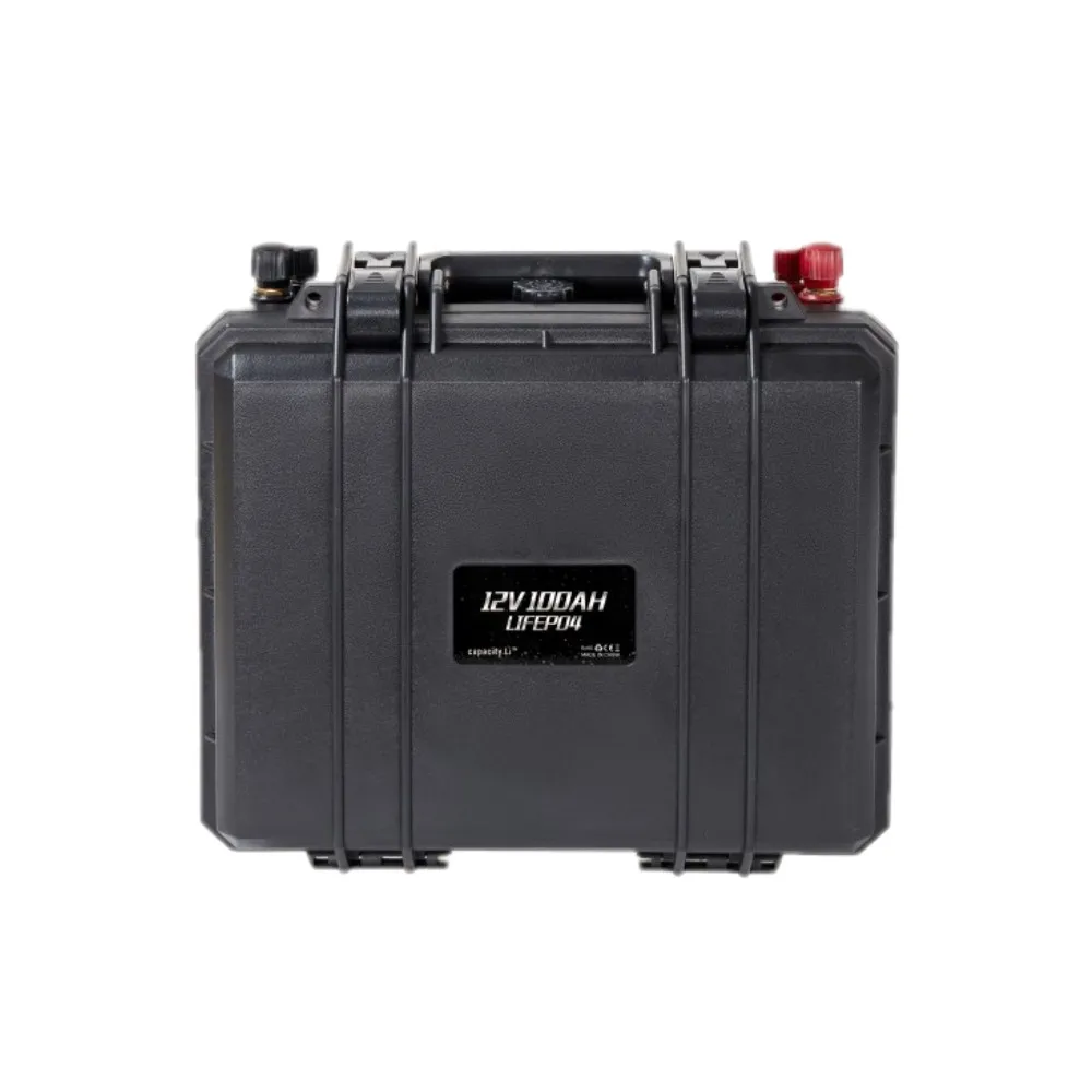 12V 100ah lifepo4 перезаряжаемый аккумулятор BMS водонепроницаемый Солнечный батарейный