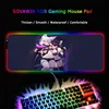 Computer Peripherals