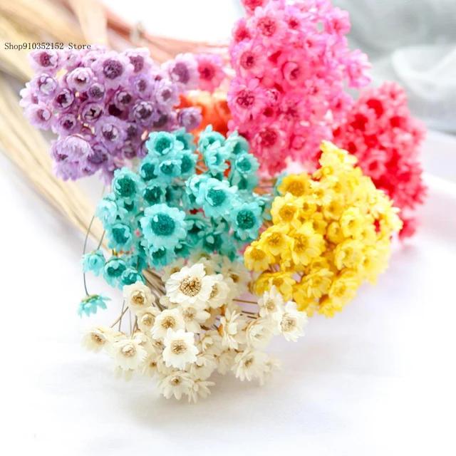 Mini ramo de flores de margaritas pequeñas, flores secas decorativas,  plantas naturales, preserva Floral para la decoración del hogar de la boda  - AliExpress