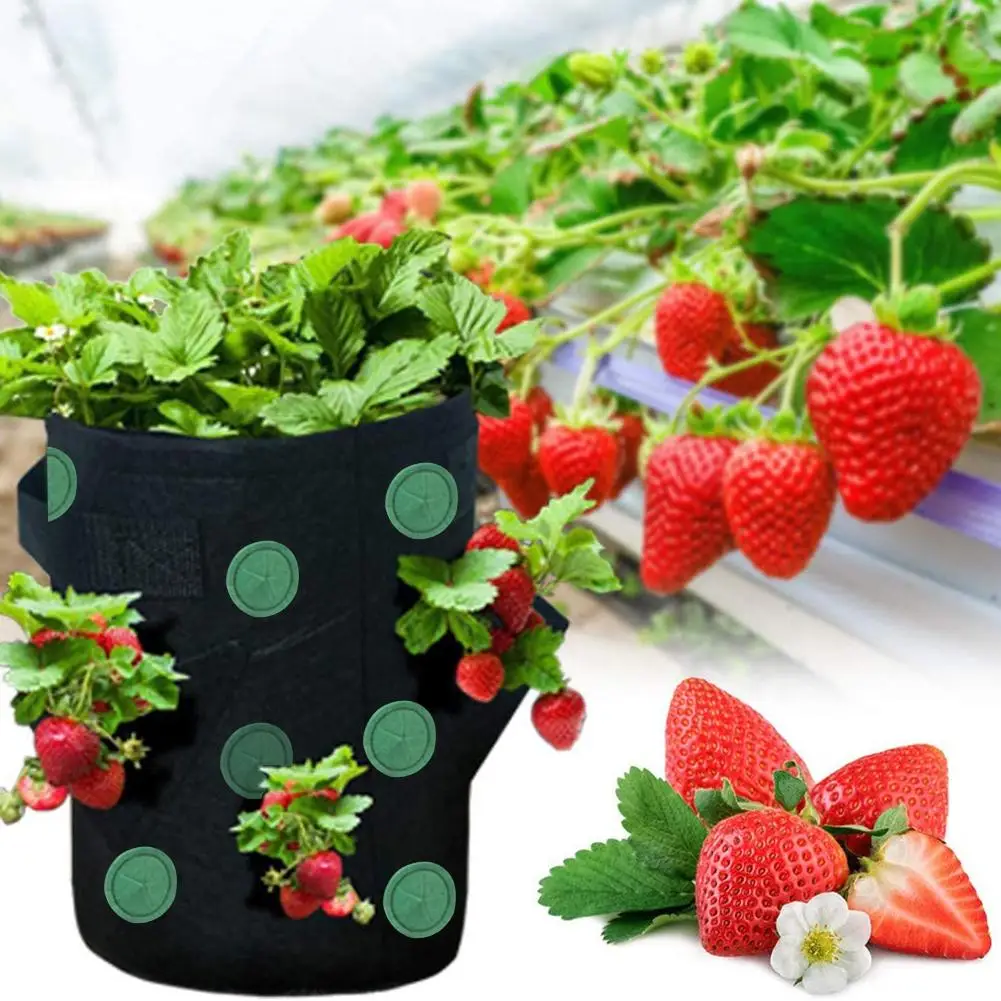 Fabric Hanging Planter Grow Bag Plant Pouch Tomato Strawberry Flower Herb U S Fabric Hanging Planter Grow Bag Plant Pouch Tomato Strawberry Flower Herb U S