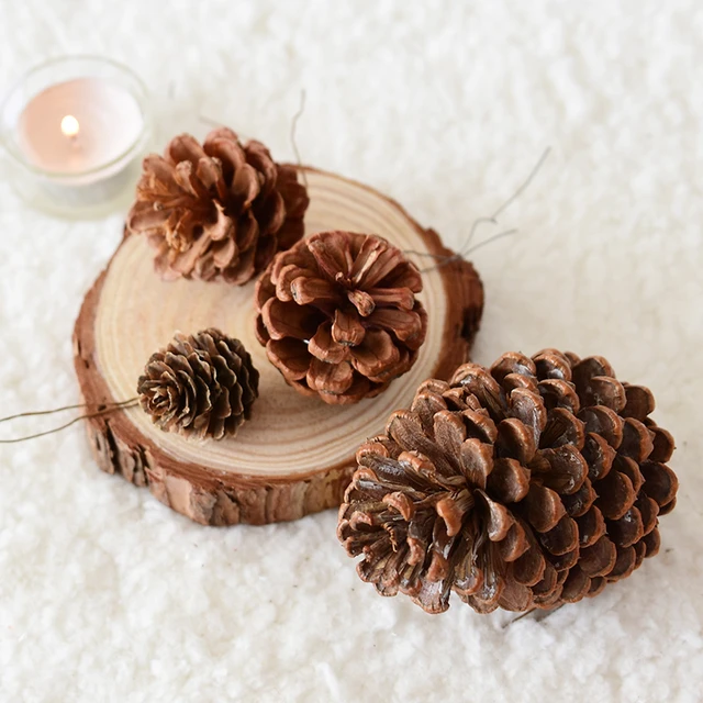 Natural Mini Pine Nuts Artificial Fake Pine Cone Decorative DIY Christmas  Tree Pinecone Decoration for Festival - AliExpress