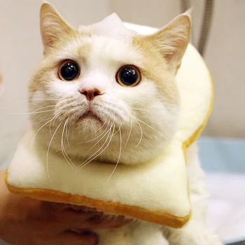 

XS/S/M/L/XL/XXL Pet Dogs Cats Headgear Creative Toast Costume Soft Bread Slice Circle Collar Pet Photo Props Decoration Costume