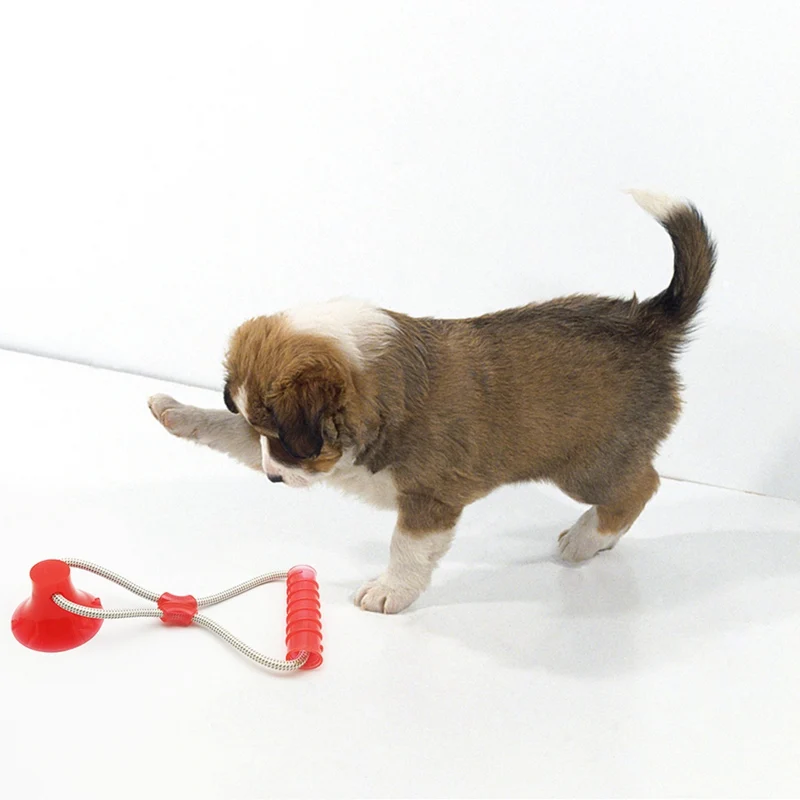 

Dog Self-playing Rubber Toy With Suction Cup Dog Interactive Molar Toy For Teeth Cleaning