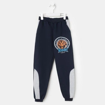 

Trousers for a boy, color dark blue, height 128 cm