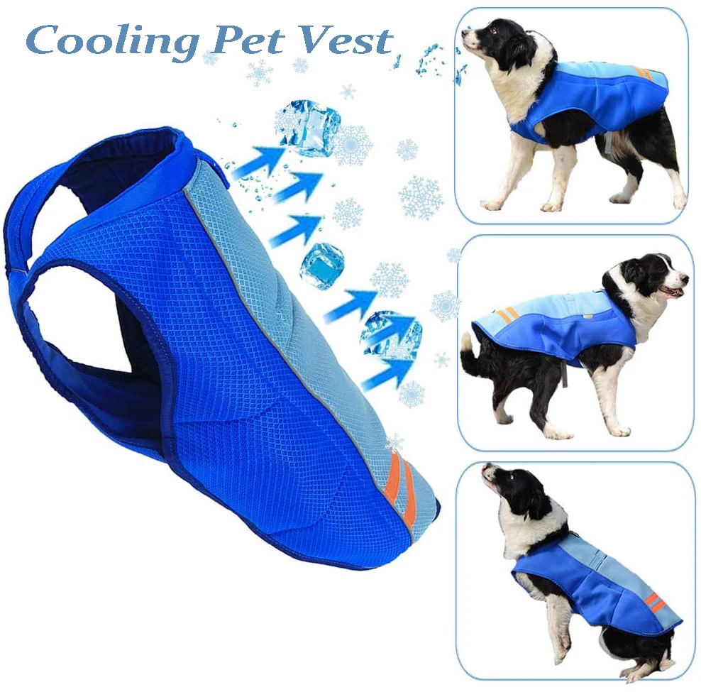 outdoor cooling for dogs