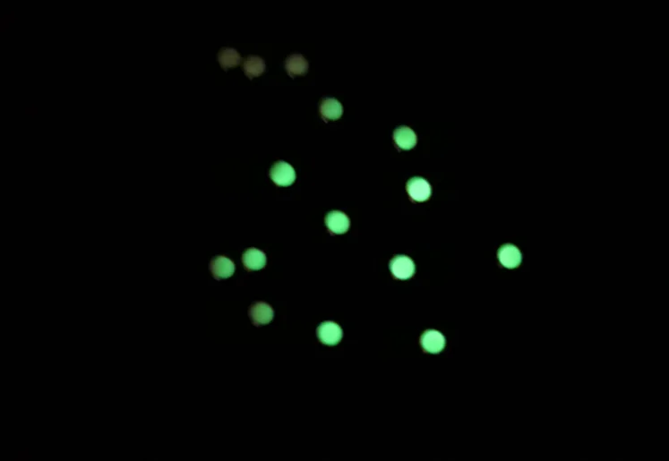 Бесплатная доставка замена зеленого/синего жемчуга для ободка Rlx Ceramic luminestion 1