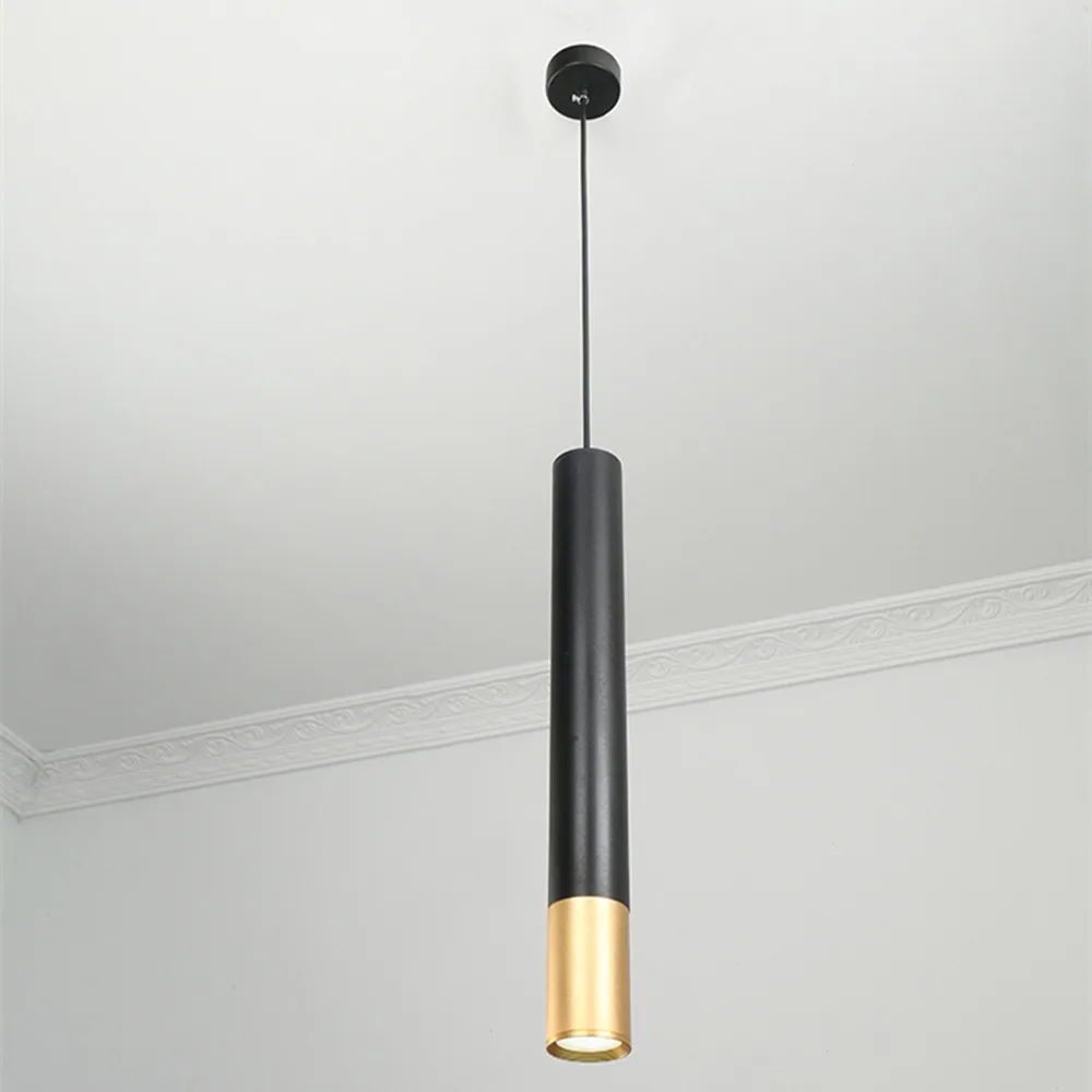 pendant lamp (13)