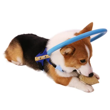 

Blind Pet Anti-collision Ring Collar Dog Anti-collision Ring Animal Protection Animal Cataract Guide Protection Supplies