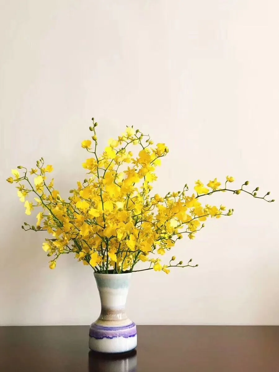 

[Dancing-lady Orchid] Kunming Flower Direct Selling from Production Place Wedding Flower Shop for Oncidium Household Decoration