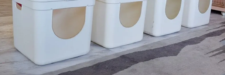 201910240333491339919146_副本