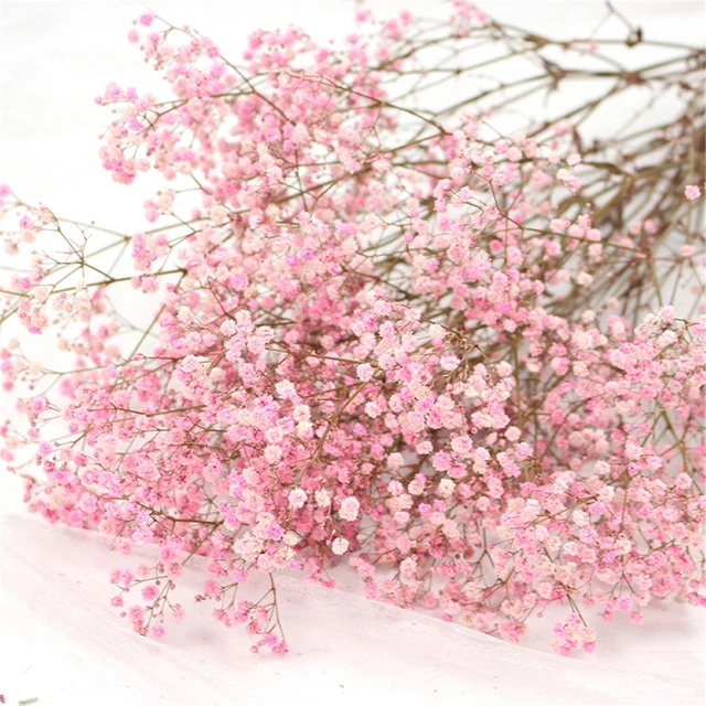 Light Pink Garland Immortal Flower Baby Breath Flower Bunch Valentine's Day  Gift Wedding Touch Bouquet - Artificial Flowers - AliExpress