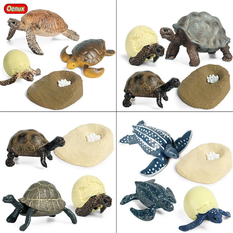 Oenux Sea Life черепаха Животные моделирование океан рептилия цикл роста модель
